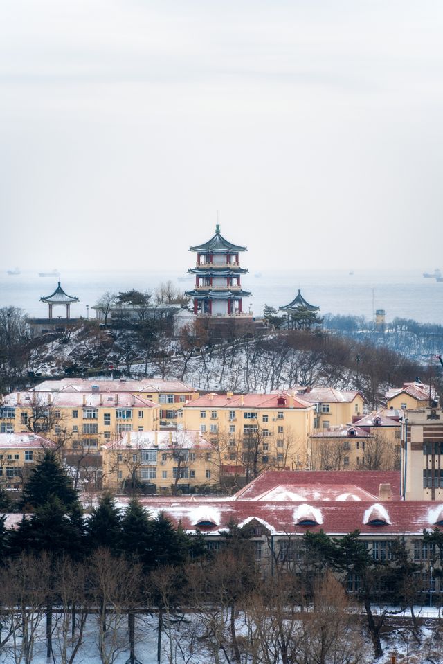 雪後的信號山公園究竟有多好拍