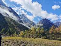 打卡四姑娘山美景