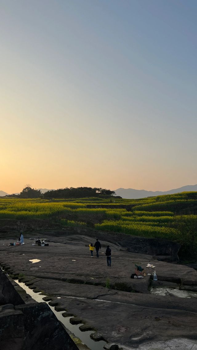 璧山的春天藏匿於村落間