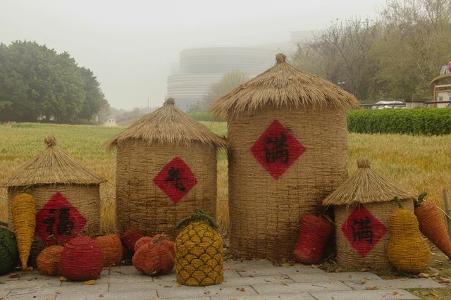 春日出遊，得去一趟花海公園，尋找風吹麥浪的感覺