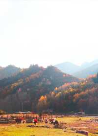 山西秋景|太原周邊遊隨手拍出片