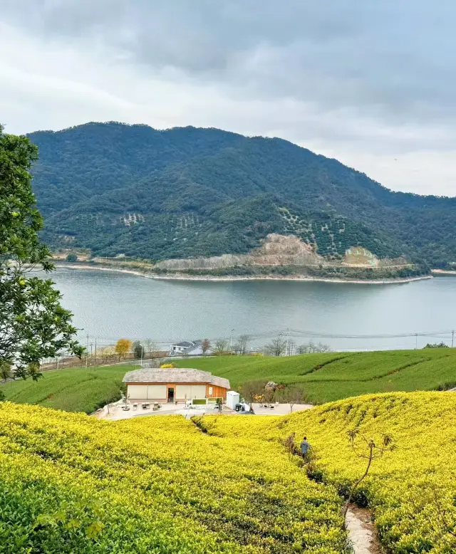 Discover the hidden gems of Ningbo for a spring outing, these 3 spots are niche and worth a visit!