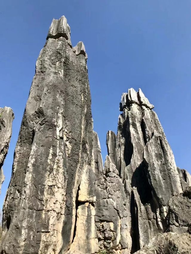 遊昆明石林風景區有感