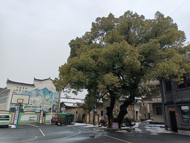 廣西自駕遊（五）