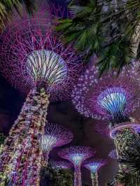 新加坡屠妖節，去探索這個世界的多元文化吧！