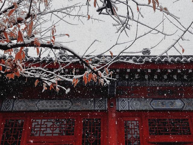 風雪中的倉聖公園