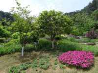 鮮花山谷——登高雲山·雲谷花境