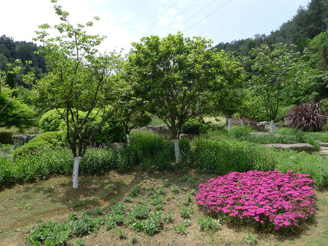 鮮花山谷——登高雲山·雲谷花境