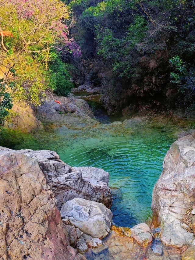 佛山｜南海灣森林生態園吸氧戲水好去處