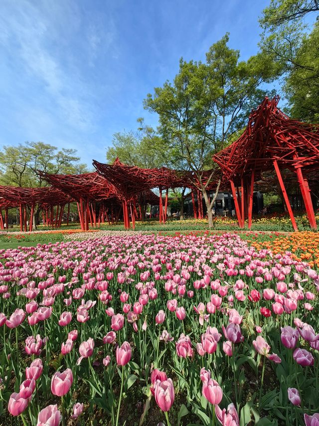 憂鬱見人間四月天|靜安雕塑公園（1676）