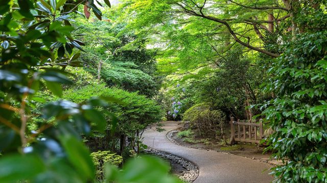 東京城市中的綠洲|喜來登酒店