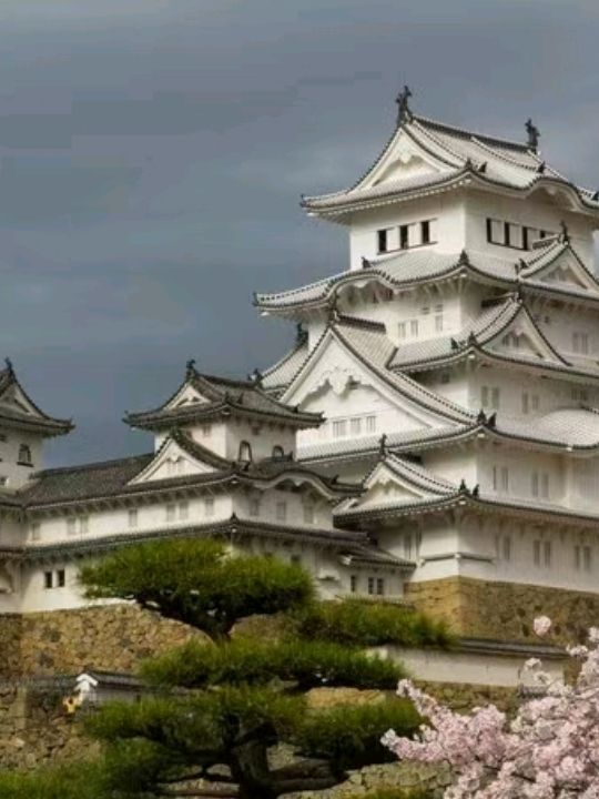 Blossoms at Himeji Castle Osaka🌸❤️🇯🇵