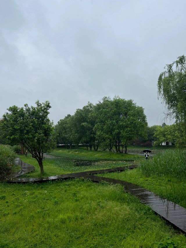 杭州不只有西湖，原來西溪濕地公園更美！！！