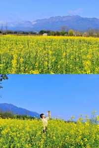 桂林·龍井村風景區丨春天來全州龍井賞油菜花海