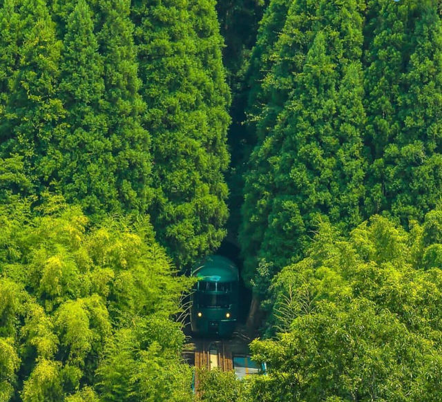 日本小眾旅行地九州--大分縣（別府溫泉鄉）