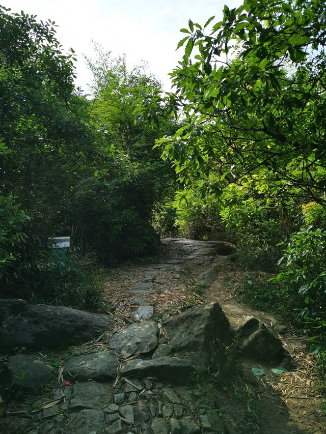 慈溪栲栳山