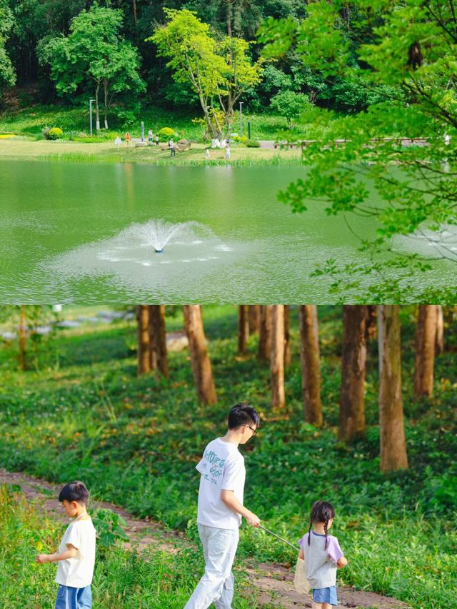 想去無數次的城市森林公園