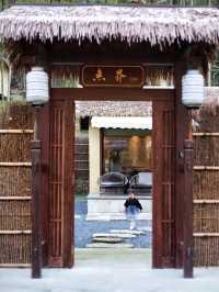 清明出行