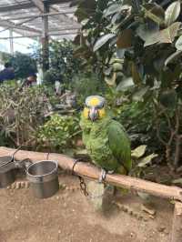北京豐台南宮五洲植物園｜被騙了這哪裡是植物園