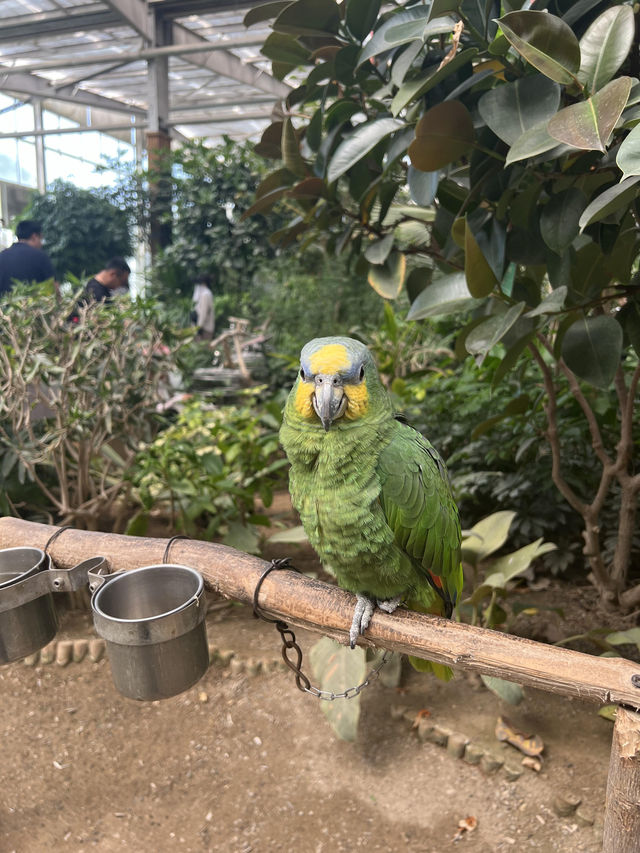 北京豐台南宮五洲植物園｜被騙了這哪裡是植物園