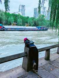 比起小河直街，我更愛運河邊這個神仙街區！
