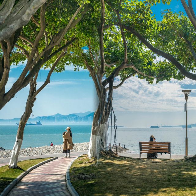 廈門攝影寶典：五天十八景，美到出圈！