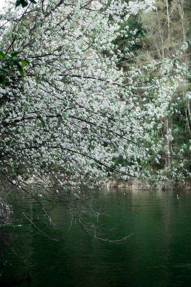 梅州反向旅遊 | 蕉嶺長潭