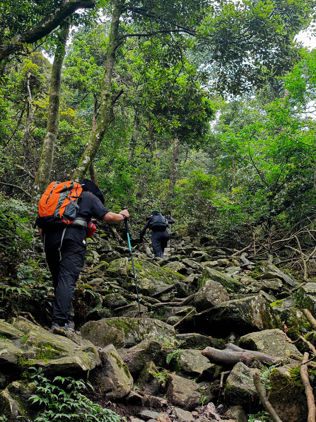 夏日徒步旅行目的地，感受山頂的風和陽光