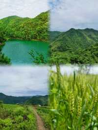 夏季徒步去紹興一個唯美靜謐的山林古道