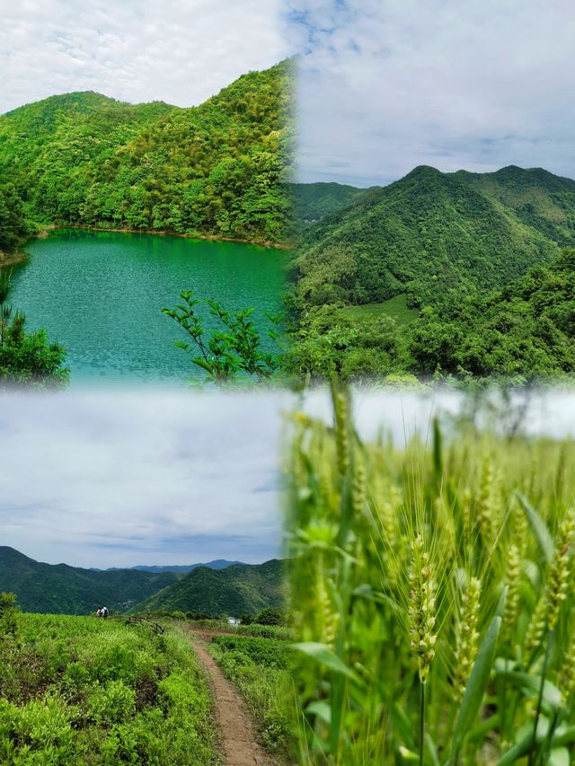 夏季徒步去紹興一個唯美靜謐的山林古道