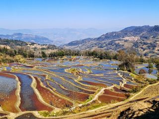 Yuanyang Rice Terraces