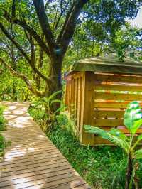 🌹✨ Hazyview's Hidden Gem: Summerfields Rose Retreat 🛌🌄