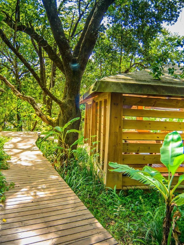 🌹✨ Hazyview's Hidden Gem: Summerfields Rose Retreat 🛌🌄