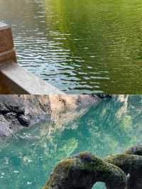 堯治河｜探尋秘境森林，湖北小九寨
