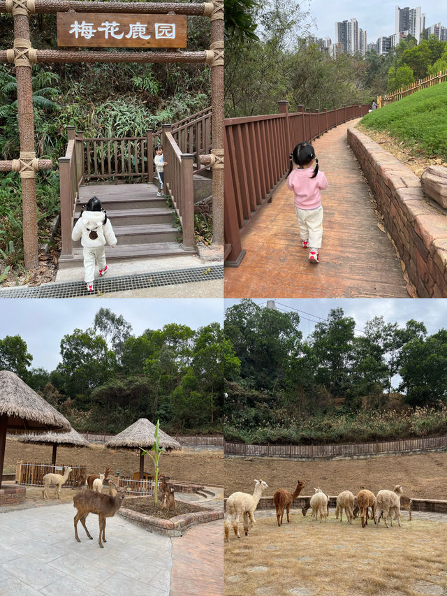東莞親子遊｜來廣東迪士尼城堡度假