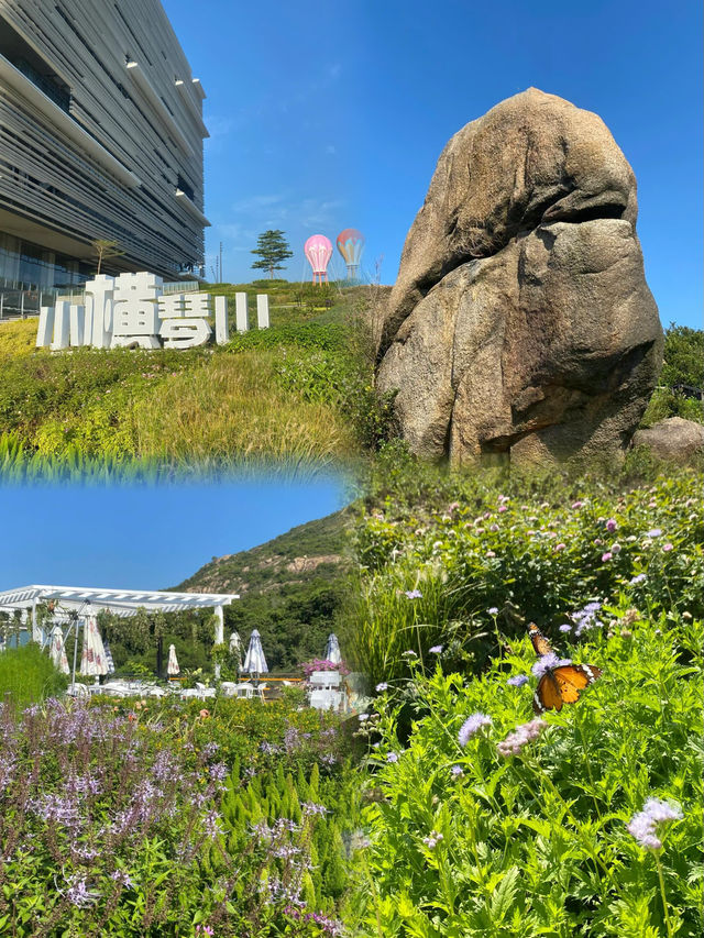 珠海超小眾登山步道解鎖360°琴澳美景