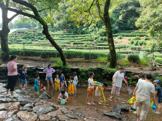 從九溪煙樹到龍井八景——山溪避暑環遊路線(下)