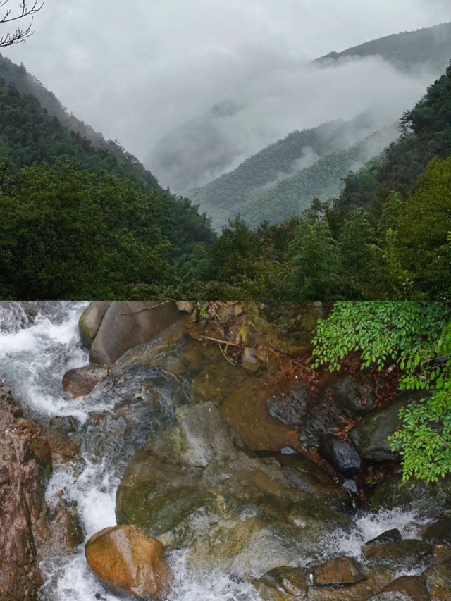 山野雲中棲|去安吉過兩日神仙的日子
