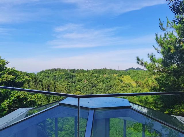重慶周邊避暑|這裡是21℃的夏天，森林物語