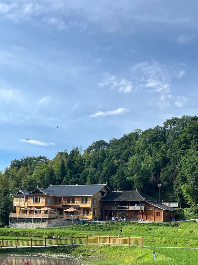 隆回大花瑤分享貼