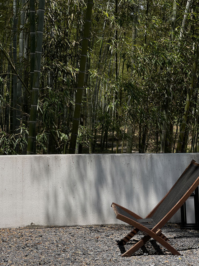 到底是什麼樣的人會喜歡這樣靜謐氛圍感