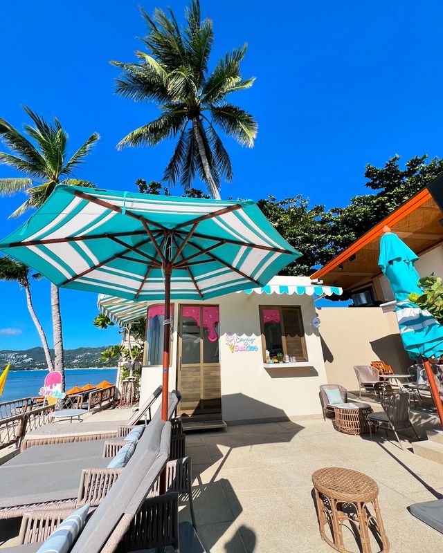 《邂逅蘇梅島 Marasca 酒店，開啟奢華海濱之旅》