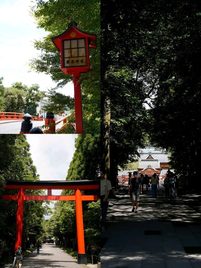 日本旅行｜鹿儿岛雾岛神宫与烟火大会🎆