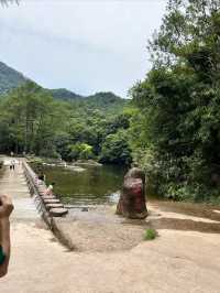 十萬大山森林公園