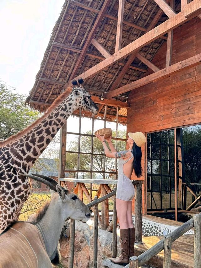 Tanzania Safari Park won my heart 🥰❤️