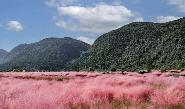 酉陽疊石山谷，優美風景打卡地。