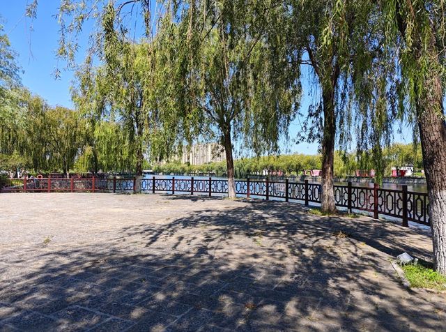 碧波蕩漾，柳岸風輕：泰安泮河公園，城市綠肺裡的閒適時光。