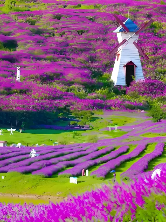Huacheng Cloud Flower Sea.