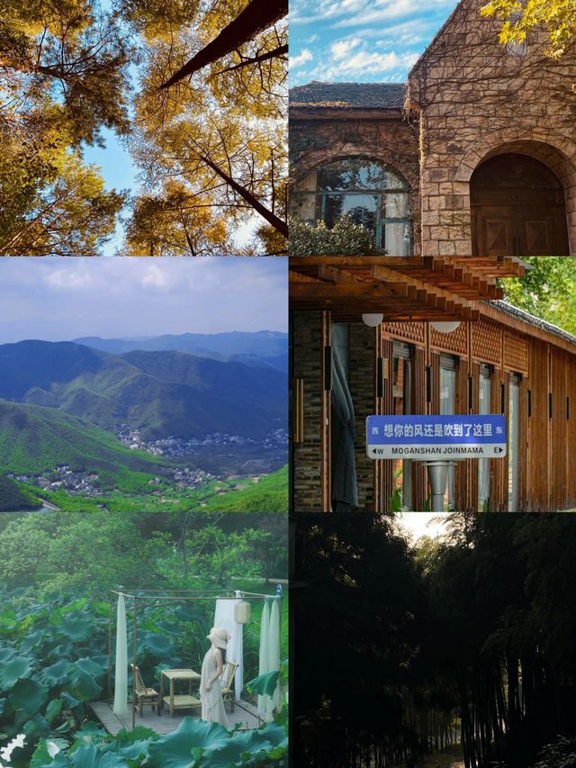 上渚山奇幻谷|一個被低估了的寶藏遛娃地。 上渚山奇幻谷|一個被低估了的寶藏遛娃地。
