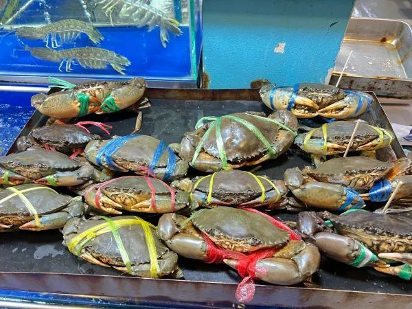 曼谷吞武里市場美食之旅🦞